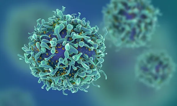 Alimentele care hrănesc celulele canceroase și provoacă inflamații în organism