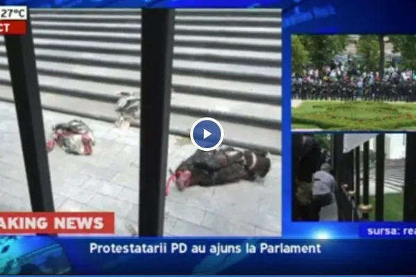 Curcani aruncați în curtea lui Igor Dodon. Proteste uriașe la Chișinău