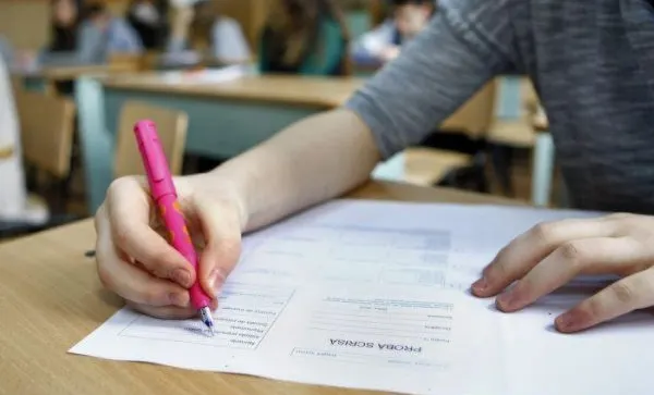 Subiecte Română BAC 2019 // Barem Română Bacalaureat 2019