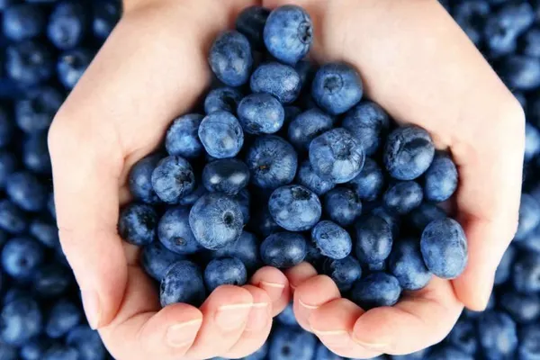Care este cel mai hrănitor fruct de pe pământ? Are un rol uriaș pentru sănătate