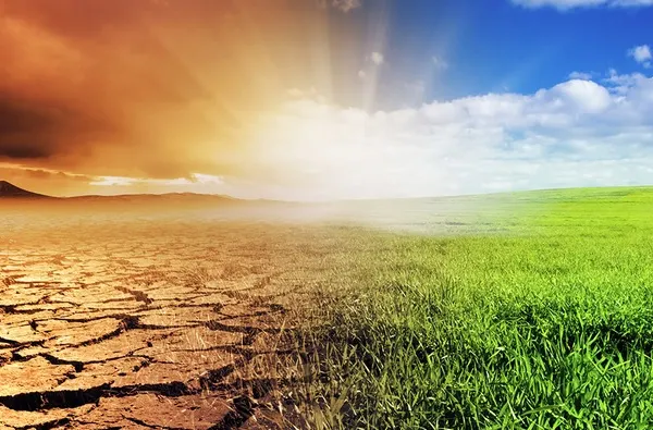 Parlamentul European declară situația de urgență privind clima