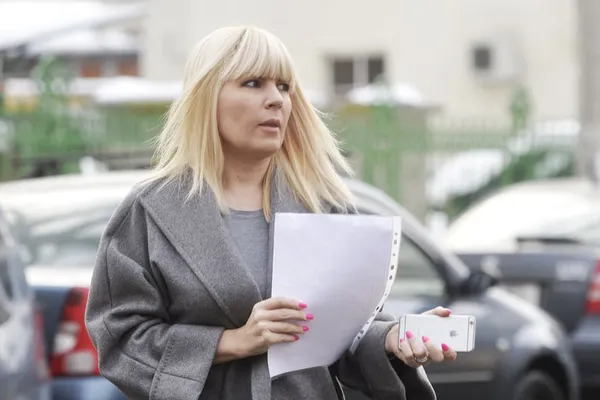 Elena Udrea, la Realitatea PLUS: „Cum să dai o condamnare de 8 ani cu executare unei femei, unei mame? Nu mai avem un gram de umanitate”