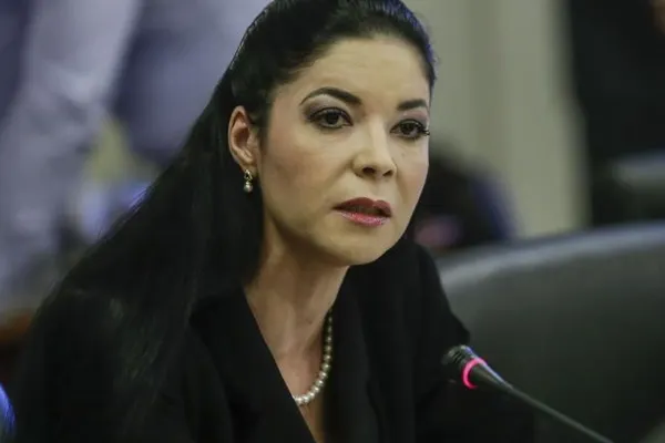 Ana Birchall, la Realitatea PLUS: Confiscarea extinsă a averilor este un fel "marțea albă" a Parlamentului