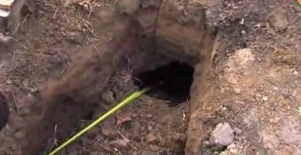 Au găsit o gaură în curtea casei. Se auzeau sunete de acolo. Au ÎNGHEŢAT când au văzut cine a ieşit