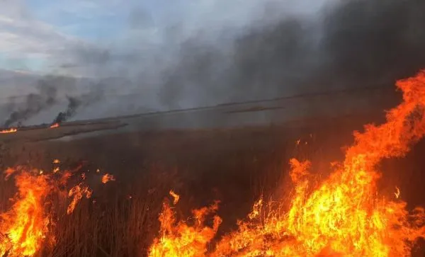 Italia cere AJUTOR  statelor europene în lupta cu FLĂCĂRILE din insula Sardinia. Situația este DISPERATĂ