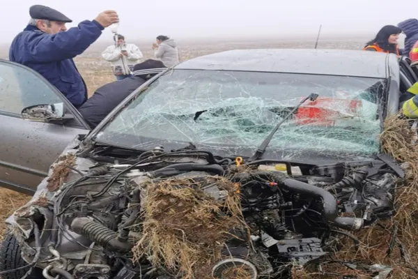 Accident grav, în Timiș: o victimă, după un impact violent