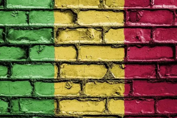 Surse din Ambasada Norvegiei în statul african: Rebeliune a soldaților din Mali