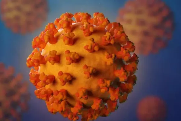 Coronavirus. Dosar penal și amendă pentru șoferul care a adus în țară sicriul cu femeia în vârstă de 80 de ani, moartă în Italia