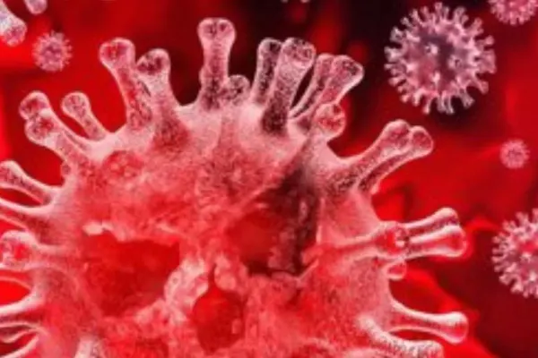 Coronavirus. „Ciuma” de Camus, adusă de COVID-19 în top cele mai citite cărți în Franța și Italia
