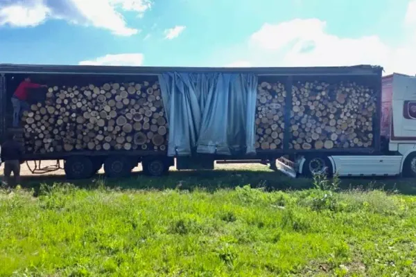 Arad: Camion încărcat cu lemne fără documente, descoperit de către polițiștii din Arad