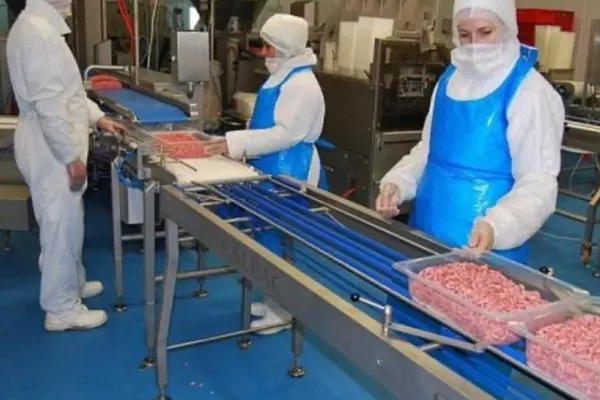 Nou scandal cu sezonierii din industria cărnii în Germania. MAE, anunț despre implicarea cetățenilor români