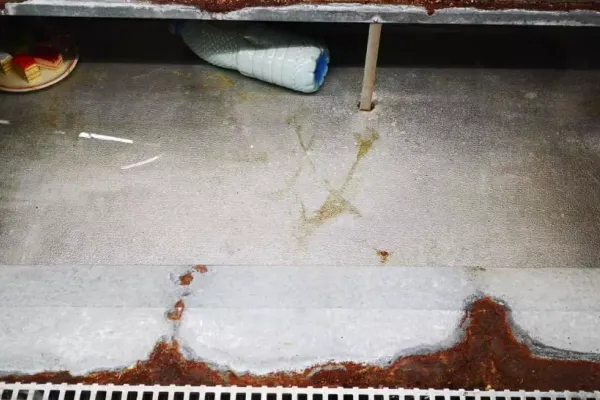 VIDEO Imagini revoltătoare în piețe din Constanța. Focare de infecție mai periculoase decât coronavirusul