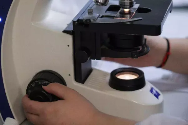 Focar de coronavirus, la Primăria Constanța. 13 angajați au fost depistați pozitiv