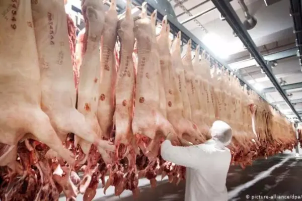 Focar uriaş de COVID la un abator din Germania, peste 600 de români INFECTAŢI