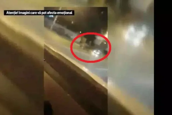 VIDEO - Accident spectaculos - Un cal înhămat la căruță izbește din plin un autoturism