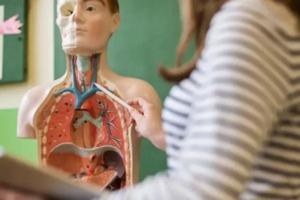 Bacalaureat 2020. Ce subiecte au avut de rezolvat elevii la probade Anatomie - Subiecte BAC Anatomie