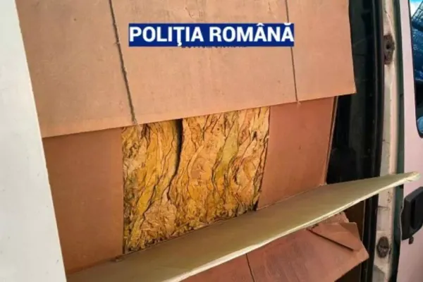 VIDEO Descoperire șoc a polițiștilor: Militari implicați în rețea uriașă de contrabandă cu tutun