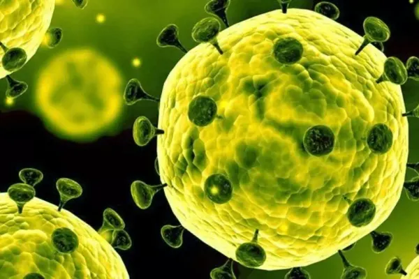 Valul 2 de coronavirus, în Italia - Un nou bilanț îngrijorător a fost publicat