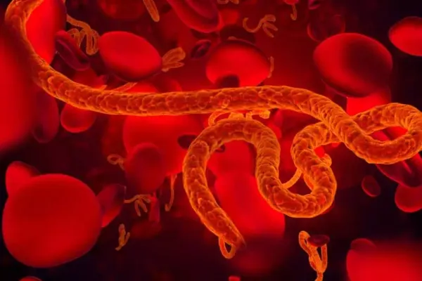 Canada își închide granițele pentru călătorii veniți din Congo: epidemia de Ebola se extinde alarmant
