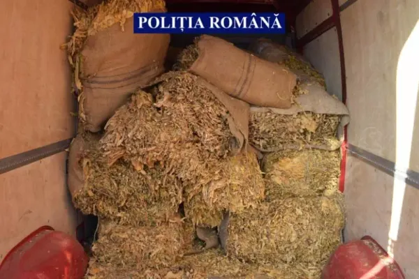 Captură record, în jud. Călărași: 4 tone de tutun din piața neagră, confiscate de polițiști