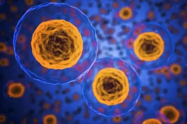 Alimentele care hrănesc celulele canceroase și provoacă inflamații în organism