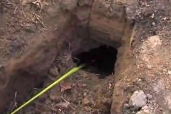 Au găsit o gaură în curtea casei. Se auzeau sunete de acolo. Au ÎNGHEŢAT când au văzut cine a ieşit