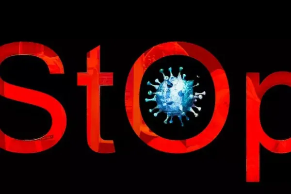 Peste 150 de români de la o fermă din Germania au revenit în țară după ce au fost testați negativ la noul coronavirus