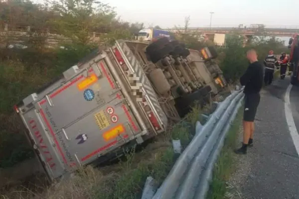 FOTO - Accident dramatic pe A1 - Un TIR încărcat cu porci s-a răsturnat