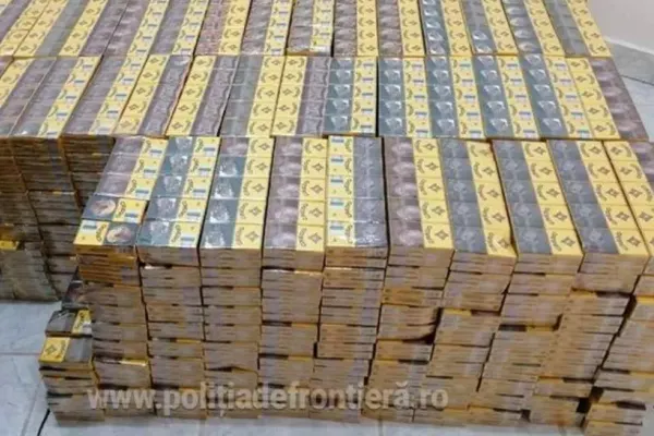 Satu-Mare: Câteva sute de pachete de țigări de contrabandă, capturate de polițiștii de frontieră din Halmeu