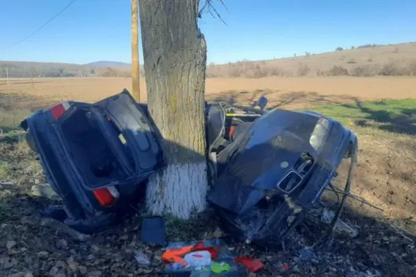 FOTO | Accident teribil în județul Tulcea. Un mort și un rănit după ce șoferul unui autoturism a intrat cu mașina într-un copac