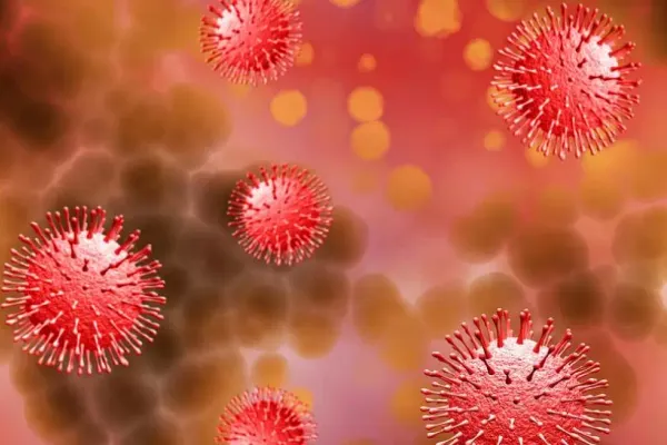 Cum se transmite noul coronavirus prin aer la orele de curs, într-un restaurant sau acasă. Cum poate fi redus riscul de infectare în școli