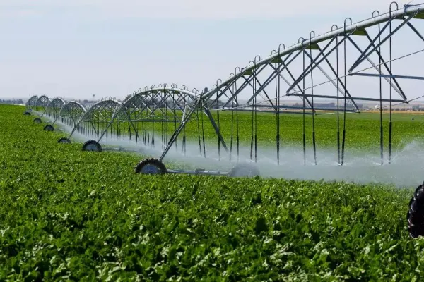 Executivul Cîțu. Programul de guvernare. Agricultura: Creşterea randamentului staţiilor de pompare la 80% şi reducerea pierderilor de apă din canale la 28%