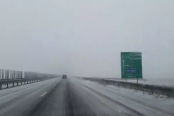 Guvernul alocă peste 6 milioane de lei pentru înfiinţarea perdelor forestiere de protecţie pe Autostrada A2 și pe DN 2B