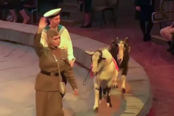 VIDEO Scandal în Rusia, după un număr de circ cu maimuțe și capre "naziste"
