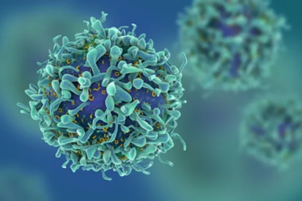 Alimentele care hrănesc celulele canceroase și provoacă inflamații grave în organism