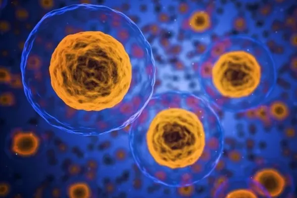 Lista alimentelor care hrănesc celulele canceroase și provoacă inflamații grave în organism