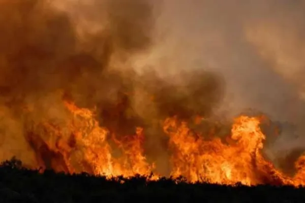 INFERNUL din Italia: Pompierii se luptă cu SUTE de incendii de vegetaţie. Cauzele DEZASTRULUI