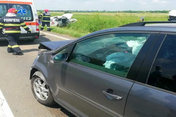 Trei cai nesupravegheaţi, morţi într-un accident rutier, în Prahova