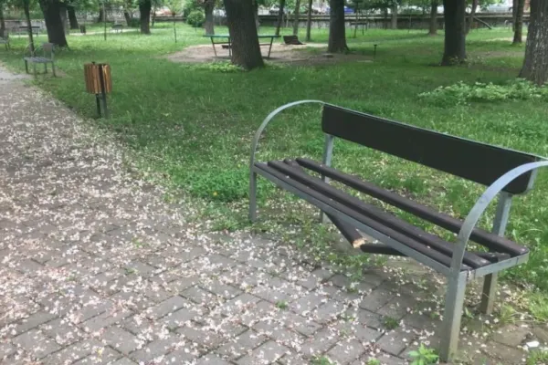 Nicușor Dan despre tarifele exorbitate ale reparațiilor din Primăria Capitalei: Schimbarea unei şipci dintr-o bancă, 400 de lei. Golirea unui coş de gunoi, 4 lei