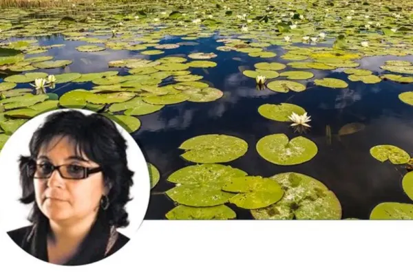 USR Plus a propus-o pe Atena-Adriana Groza ca guvernator al Biosferei Delta Dunării