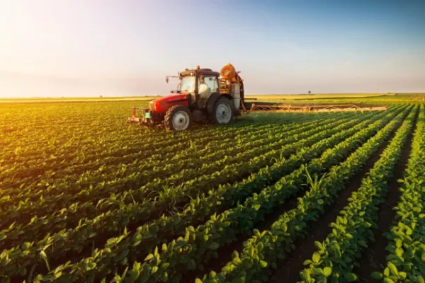 Fermierii români protestează, iar străinii fac afaceri de milioane pe cele mai bune terenuri agricole