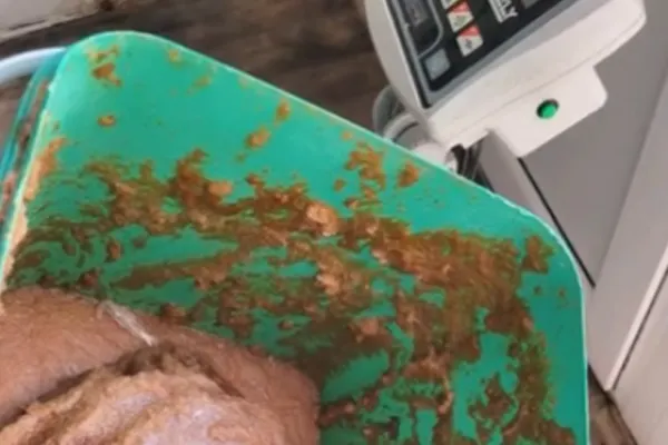 Turiștii de pe litoral NU ȘTIU ce mănâncă! Bucătăriile restaurantelor, pline de mizerie - S-au dat amenzi URIAȘE