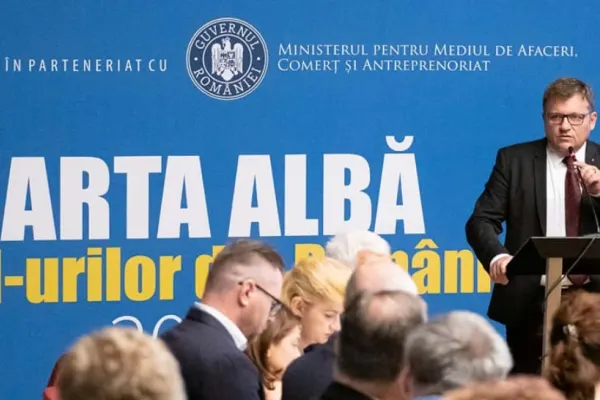 Fost ministru al Muncii: Guvernul și Raluca Turcan mint,  îi vor lăsa pe români să se descurce cum pot, la iarnă