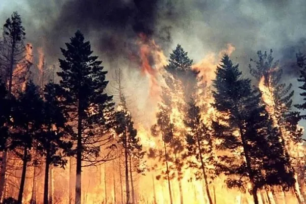 Mai multe regiuni din Rusia, afectate de incendii extreme. Mobilizare uriașă a pompierilor