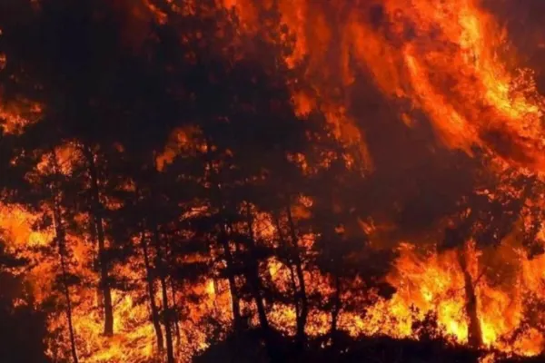 INCENDII DEVASTATOARE în Grecia, Turcia și Italia! Cel puțin 6 MORȚI, mii de oameni evacuați, plaje distruse de flăcări. Imaginile DEZASTRULUI - VIDEO