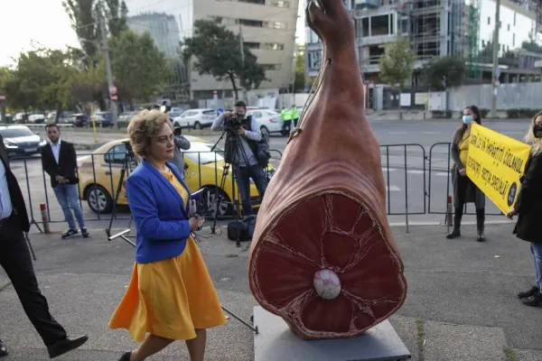 Val de PROTESTE în ziua în care se decide soarta Partidului Național Liberal - Manifestanții cer DEMISII
