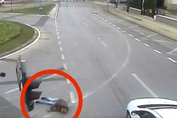 Un bărbat beat, SPULBERAT de o mașină, pe o trecere de pietoni din Timișoara, după ce a trecut pe roșu
