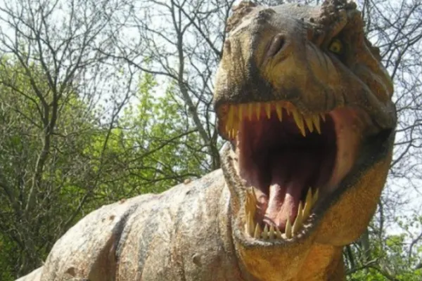 Omenirea, somată de un dinozaur la ONU