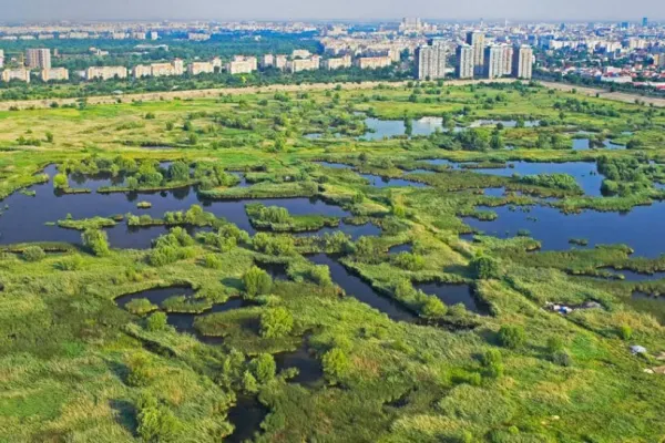 "Delta Văcărești", OFICIAL în Primăriei Capitalei. ANUNȚUL lui Nicușor Dan
