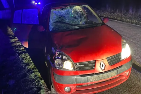 Accident mortal, la Tulcea: Un pieton a fost SPULBERAT de un șofer băut
